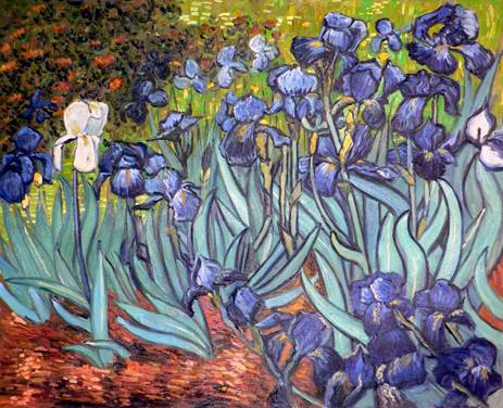 Irises